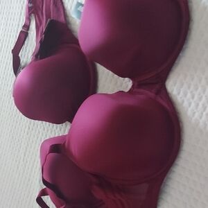 Paramour MAJENTA Women's Bra